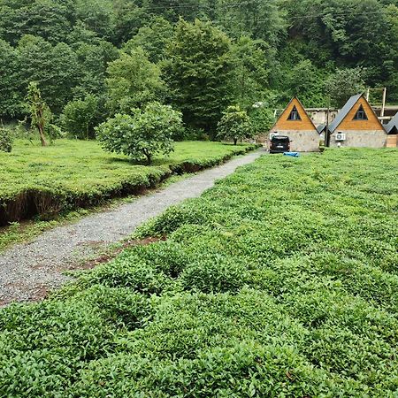 Serindere Bungalow Ardeşen Dış mekan fotoğraf