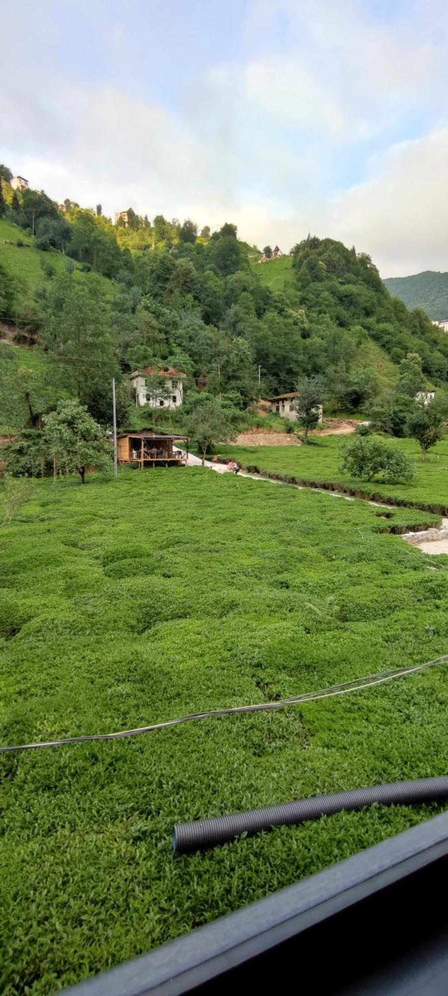 Serindere Bungalow Ardeşen Dış mekan fotoğraf